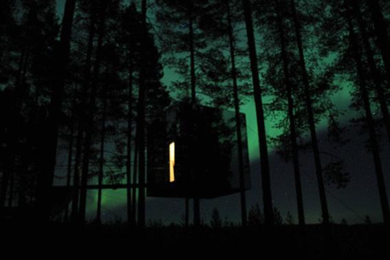 Treehotel Harads Εξωτερικό φωτογραφία