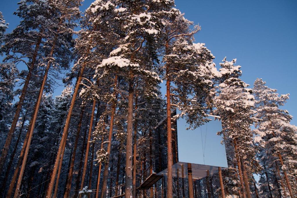 Treehotel Harads Δωμάτιο φωτογραφία