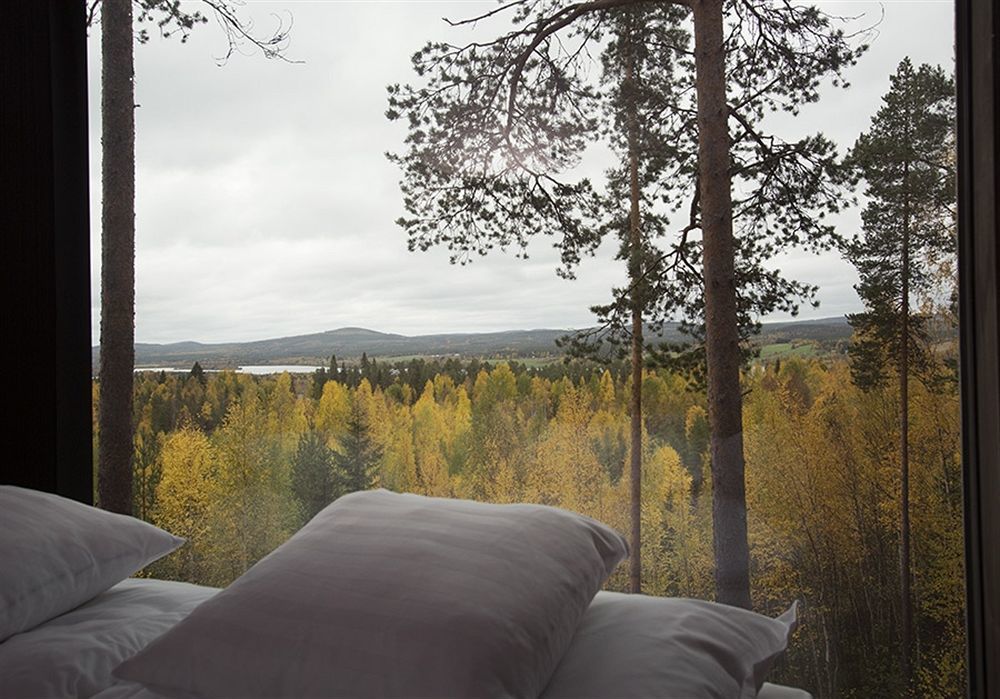 Treehotel Harads Εξωτερικό φωτογραφία