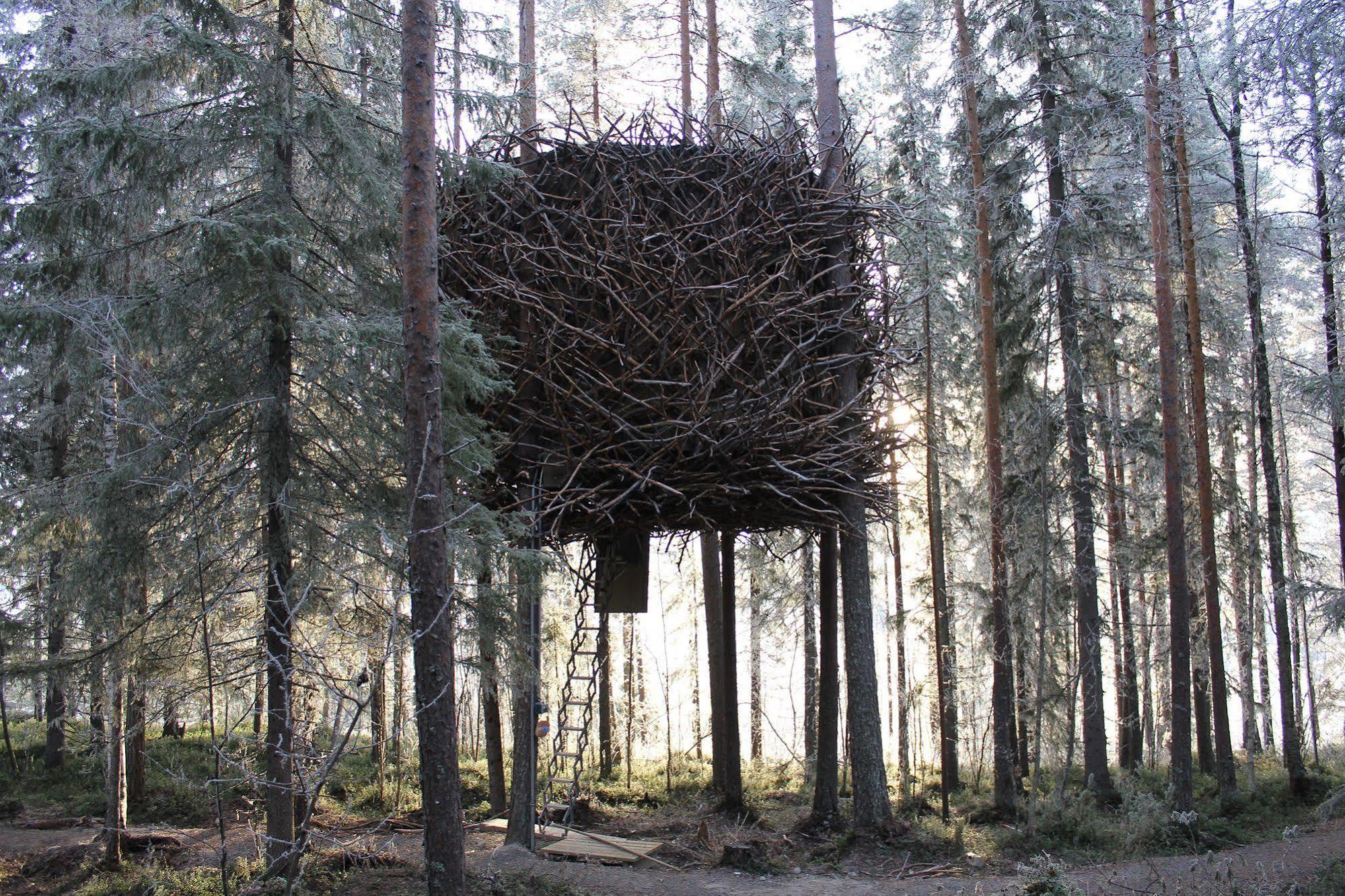 Treehotel Harads Εξωτερικό φωτογραφία